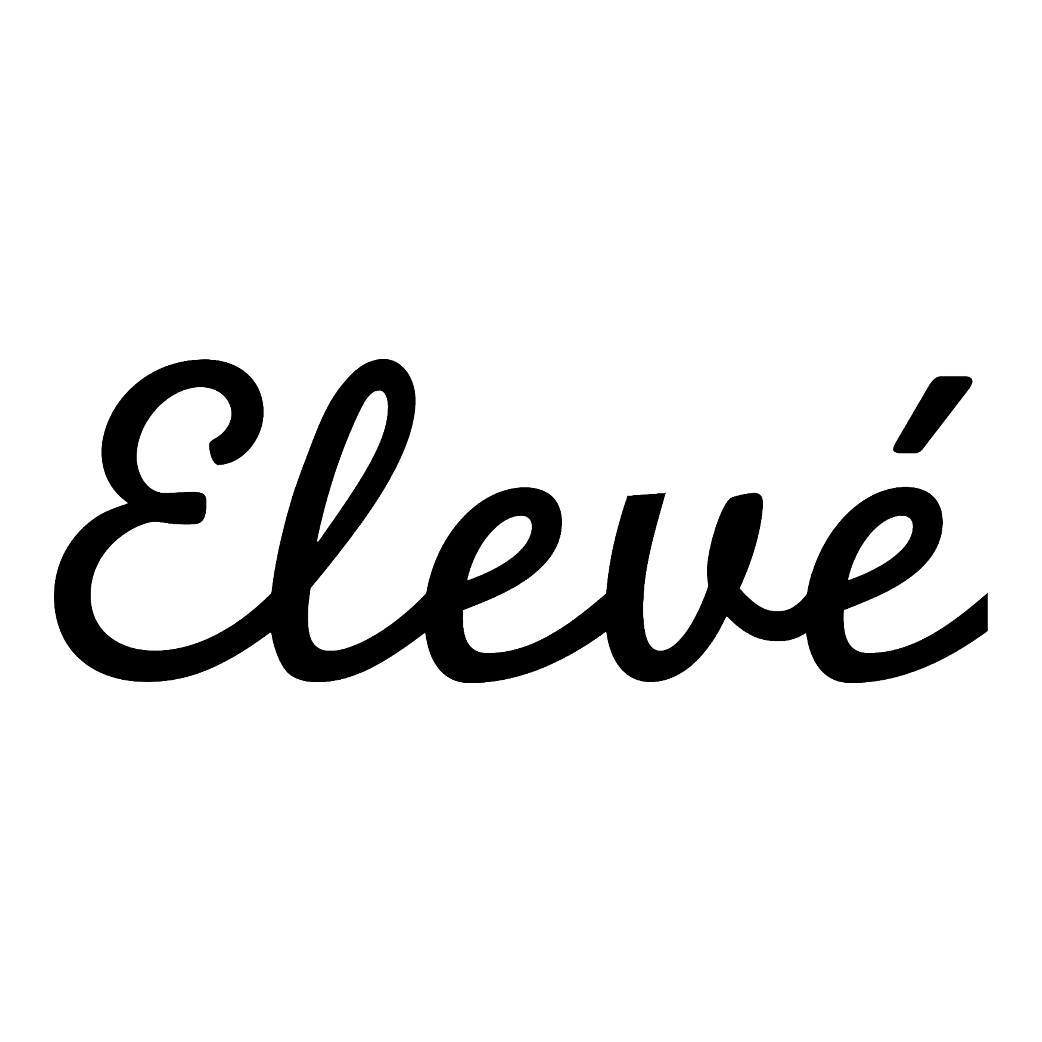 The Eleve Store