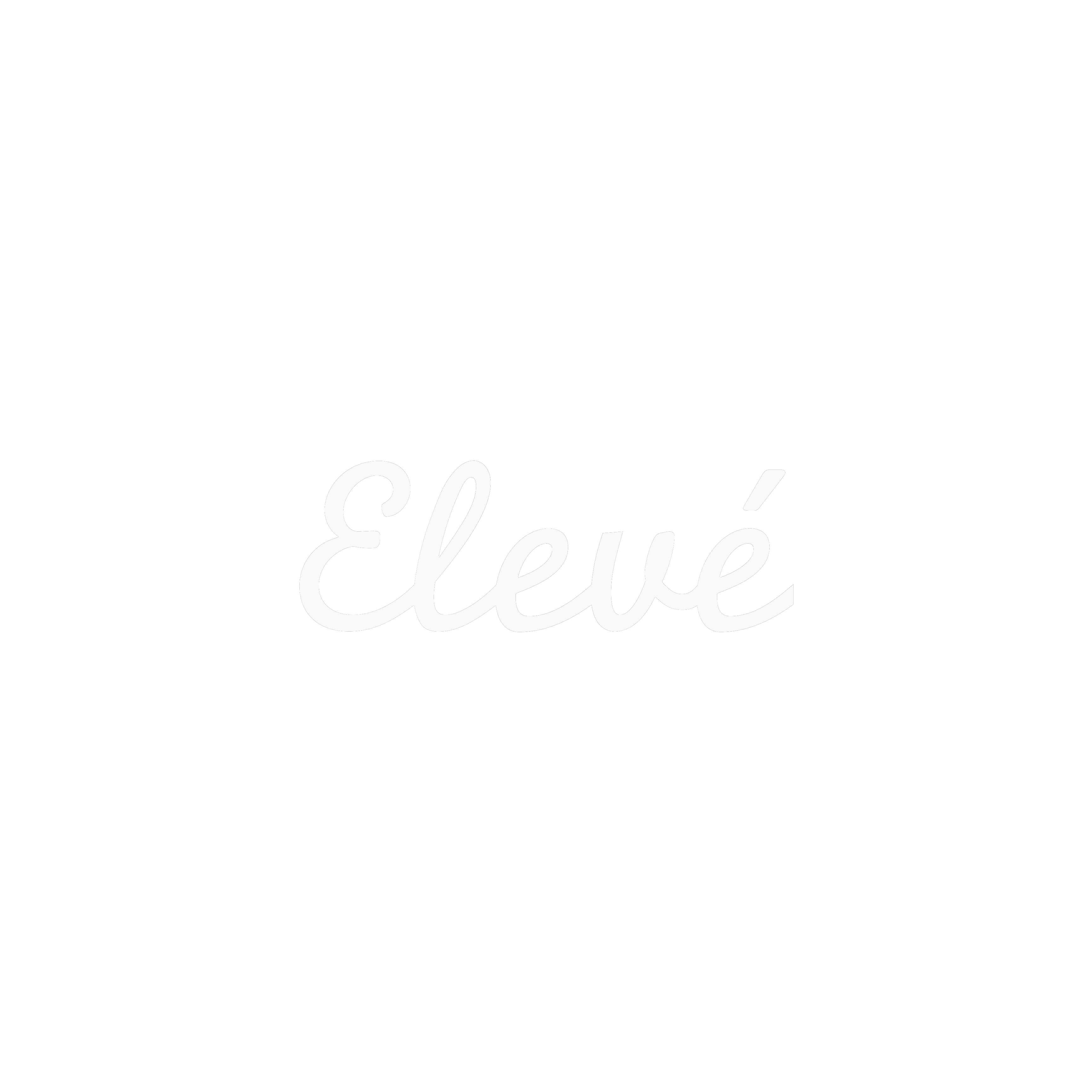 The Eleve Store